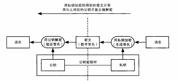 image-20240529150956820